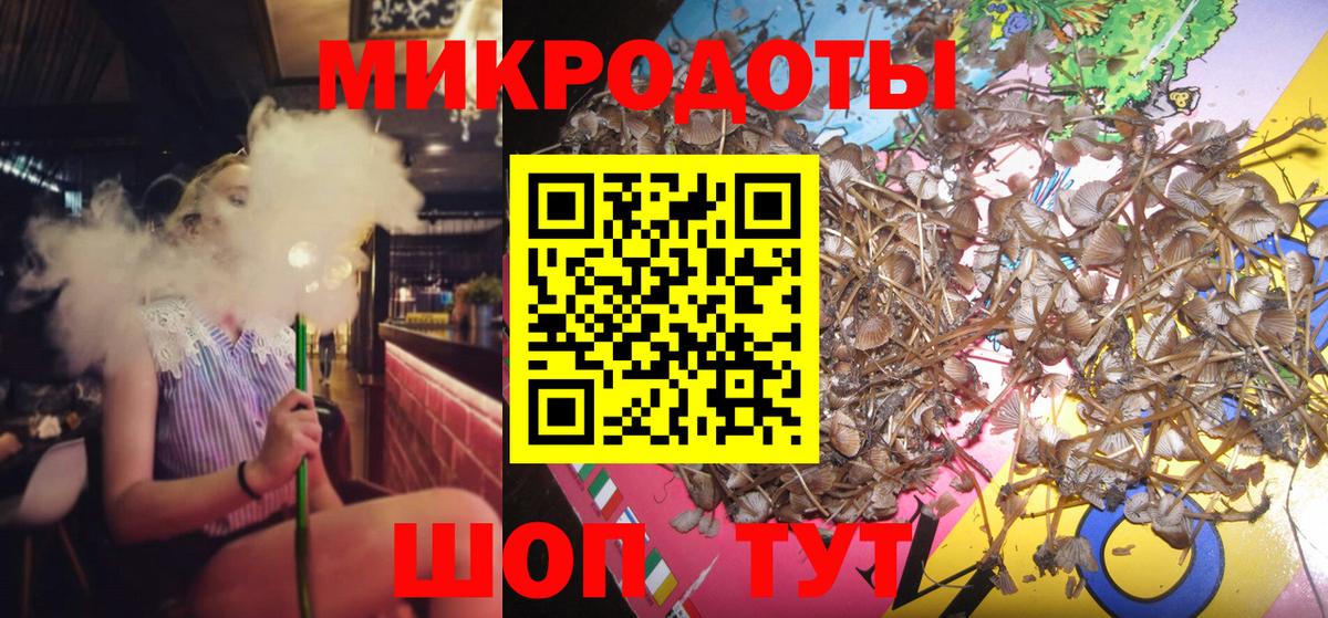 Псилоцибиновые грибы мухоморы Павловский Посад